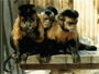 in a group