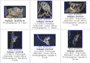 various species