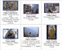 various species of baboon