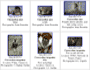various species of mangabey